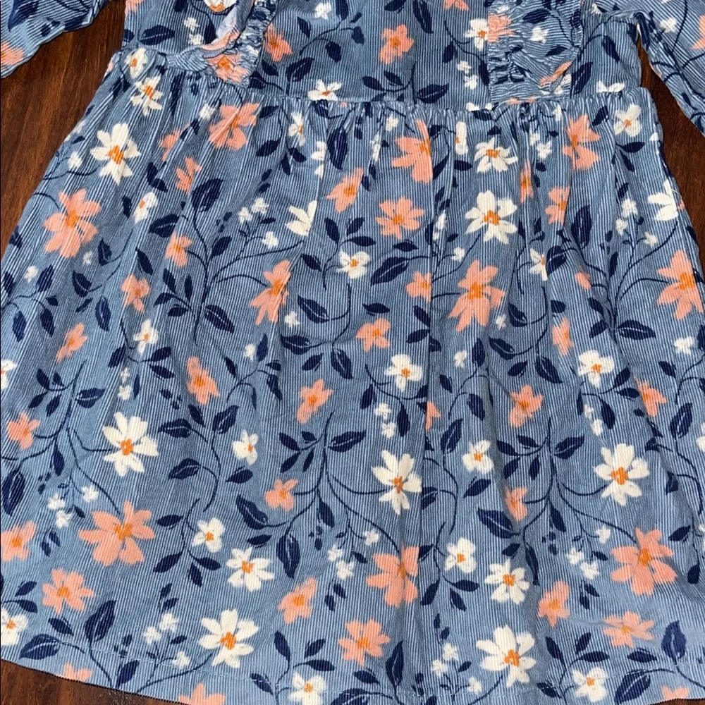 Baby Girl Carter's Floral Dress
